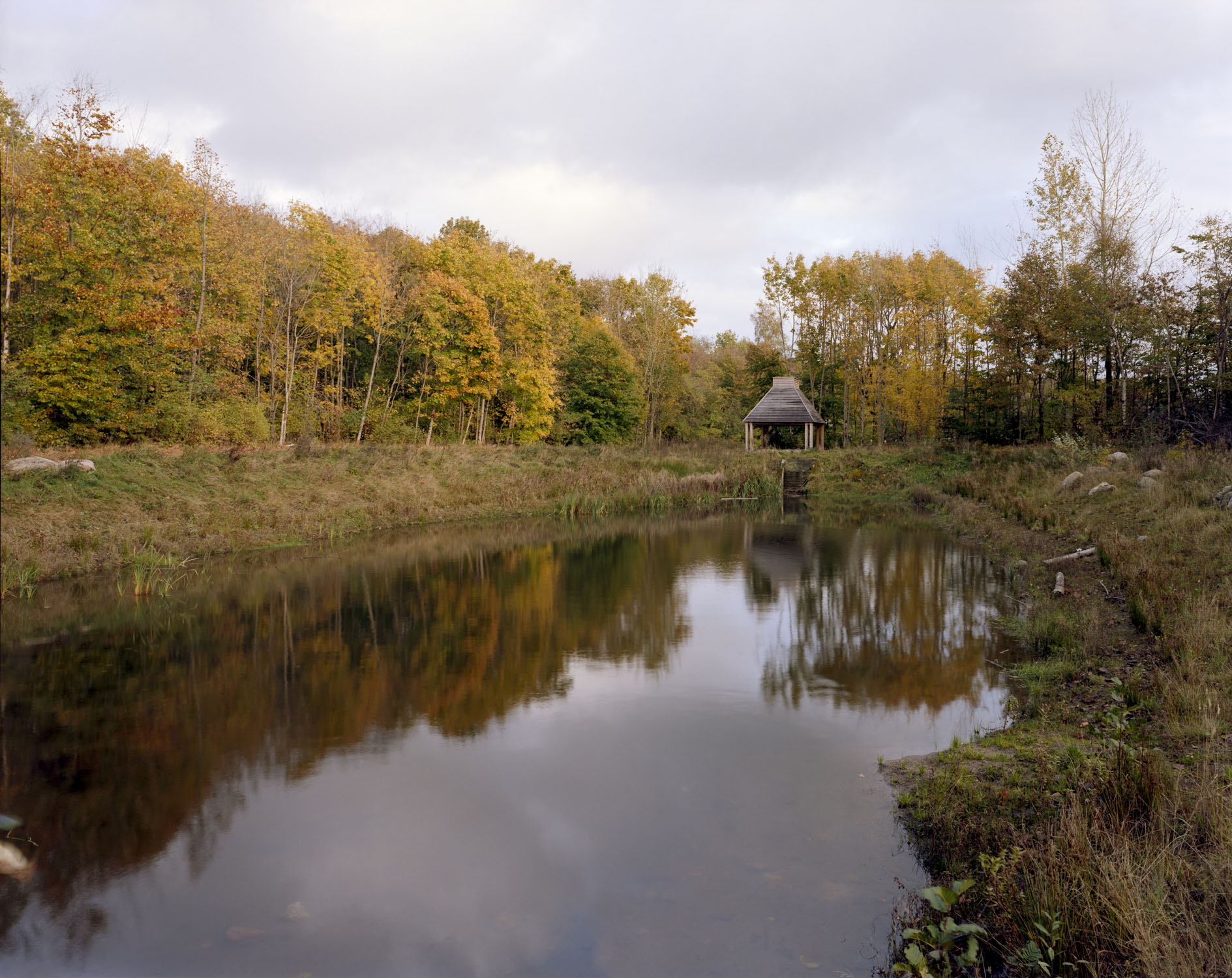 13043029 Nature Oestbirk Photo Adam Mork 008 XH