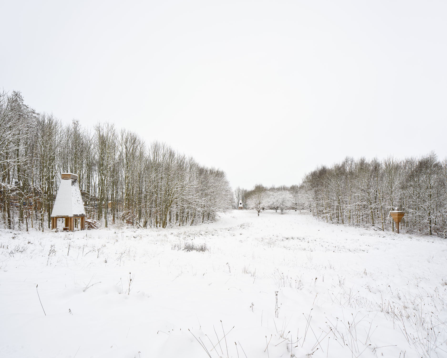 Nature Oestbirk Photo Adam Mork 049 XH
