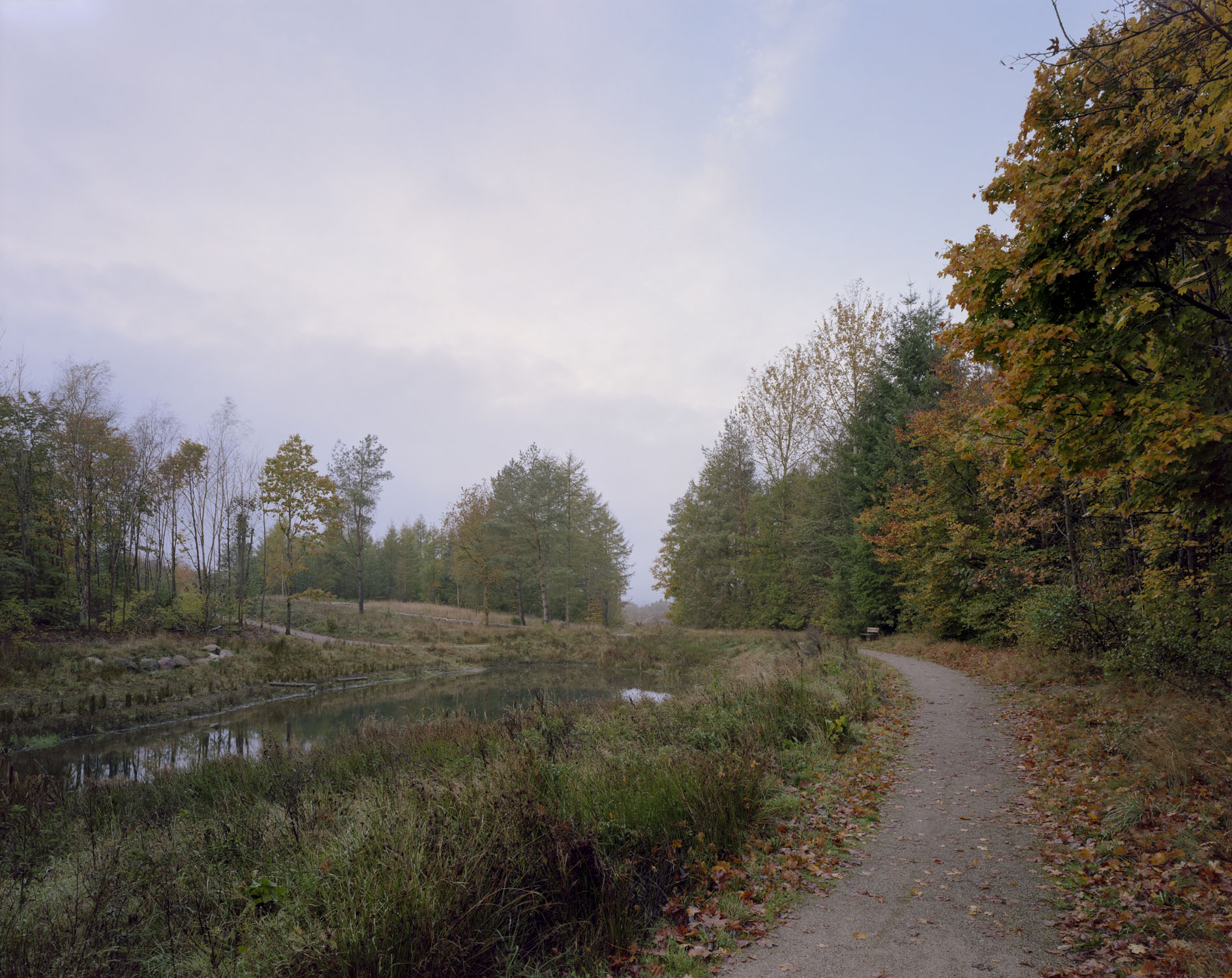 13042996 Nature Oestbirk Photo Adam Mork 003 XH